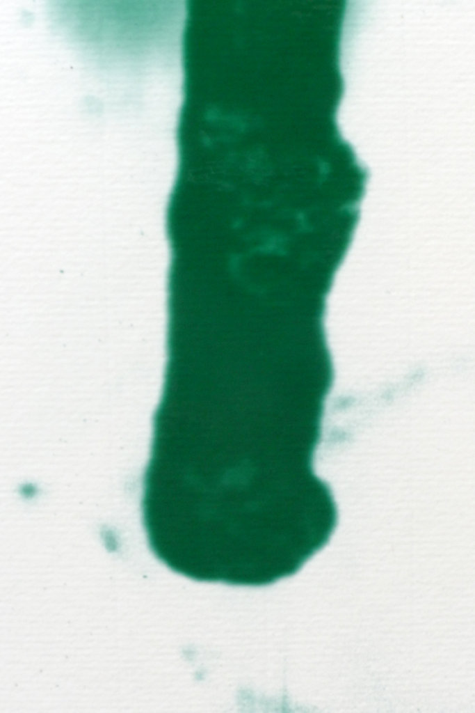 Lichen-detail2.jpg