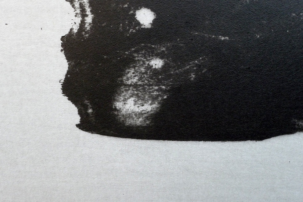 Red Admiral wing (detail), 2015.